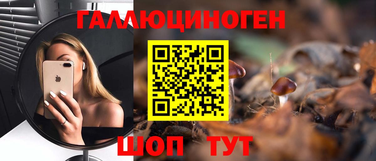 Псилоцибиновые грибы GOLDEN TEACHER  Псилоцибиновые грибы Psilocybine cubensis  Вход с VPN  Арзамас 