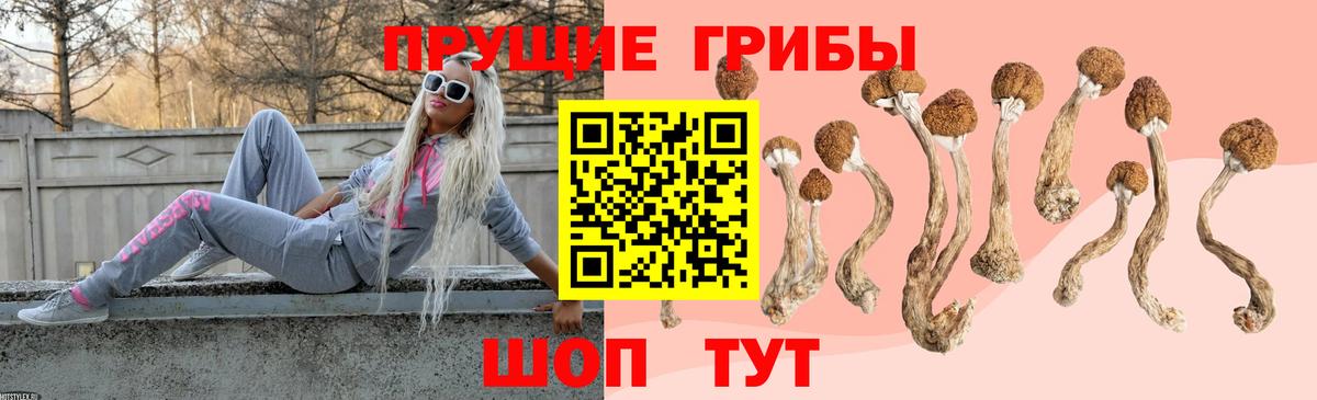 Псилоцибиновые грибы мухоморы Арзамас